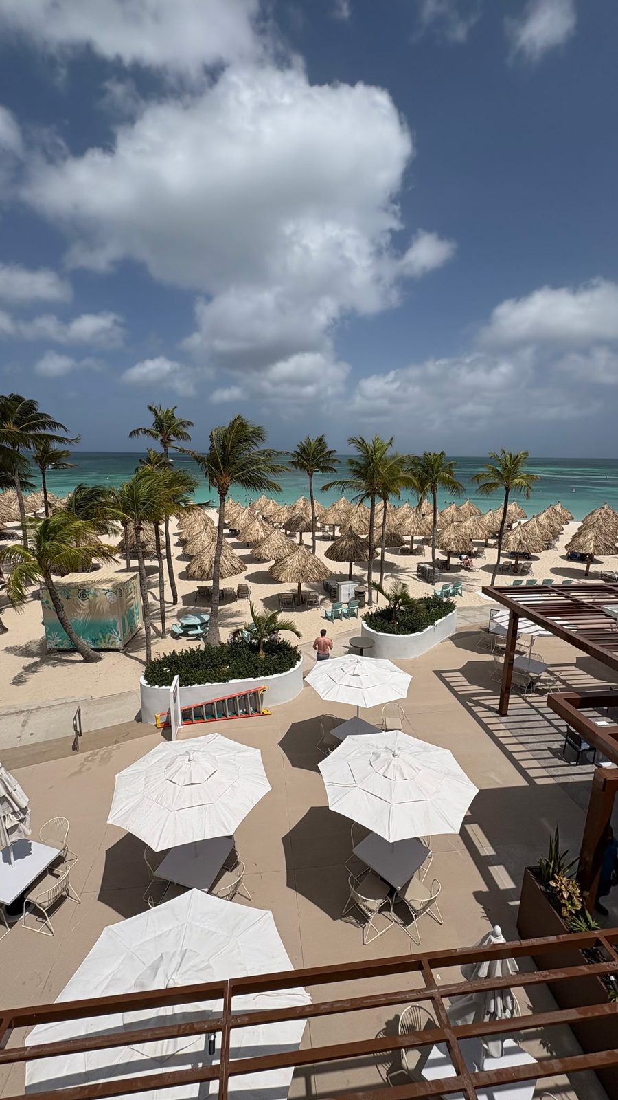 A beach deck with white umbrellas and loungers, palm trees and open sea beyond